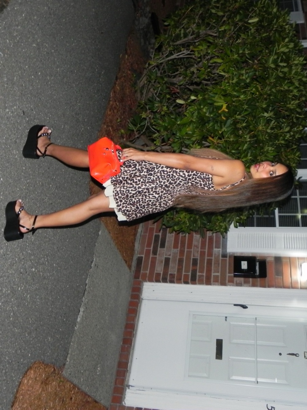 Leopard Print Mini Dress - Picture 4 of 4